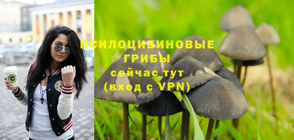 мдпв Бородино