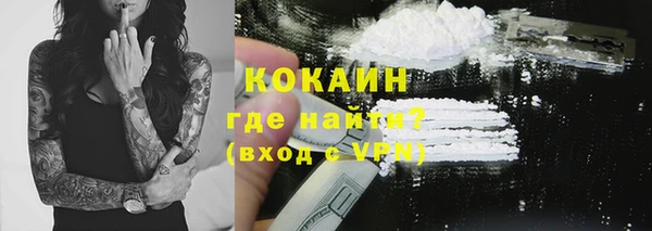 мдпв Бородино