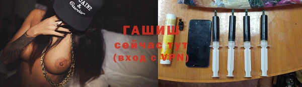 мдпв Бородино