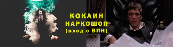 мдпв Бородино
