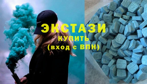мдпв Бородино