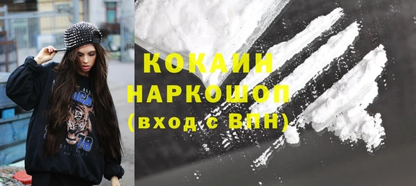 мдпв Бородино