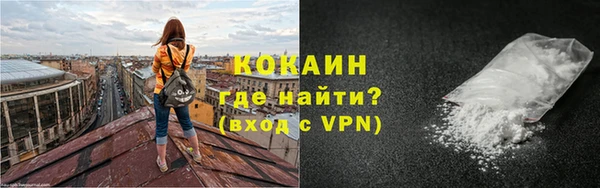 мдпв Бородино
