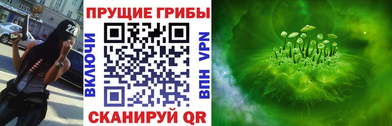 kraken ONION закладка Новоржев Псилоцибиновые грибы мухоморы